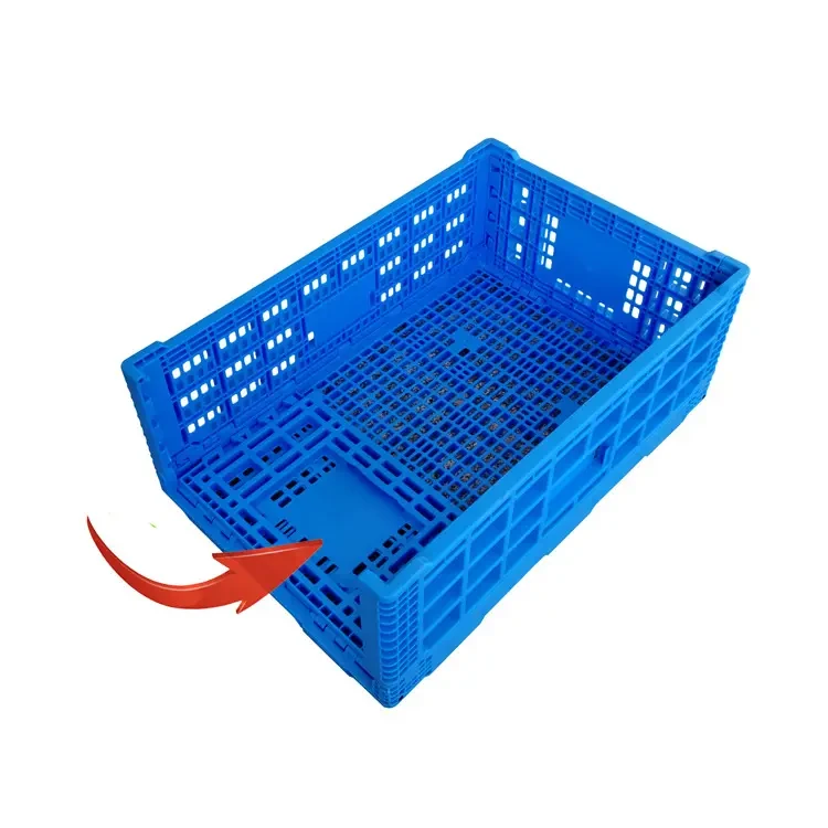 product-750-750 product-750-750