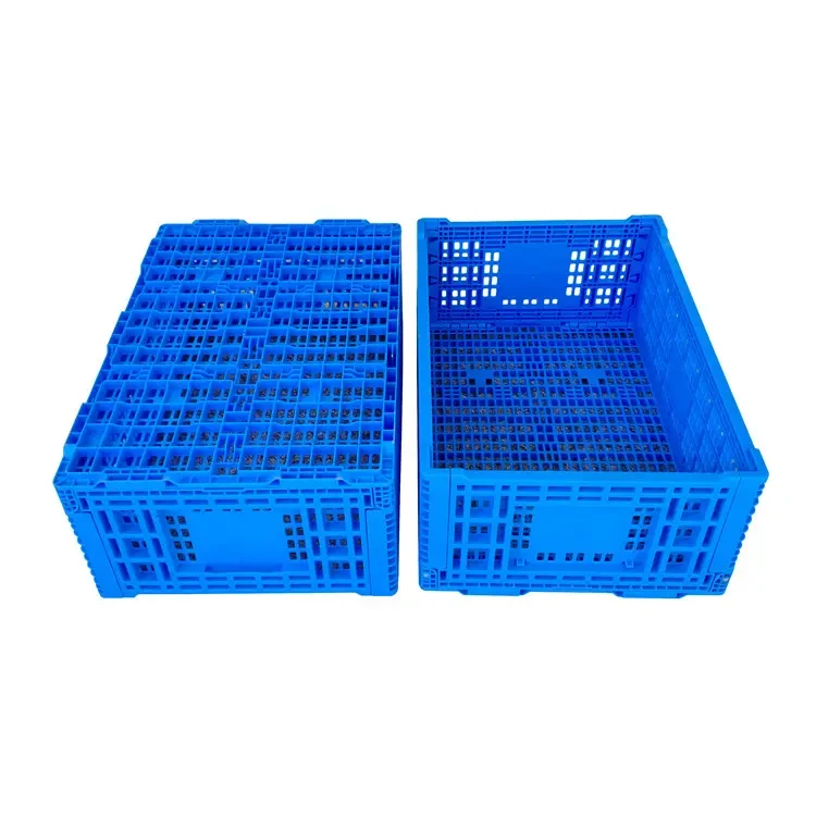 product-750-750 product-750-750