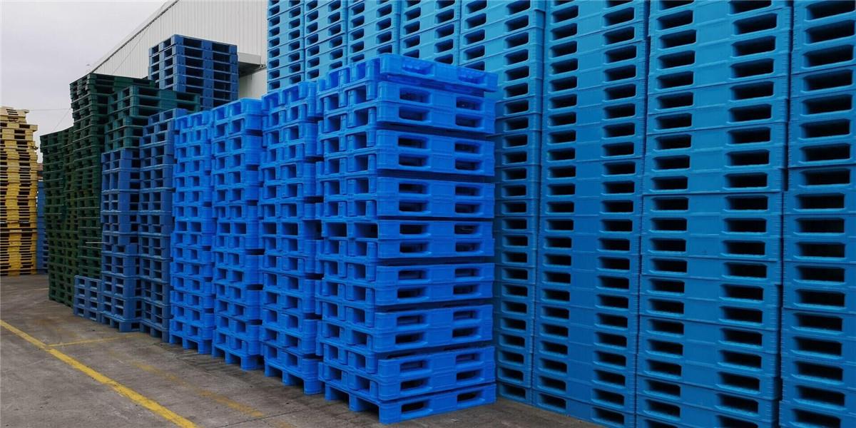 Blár litur kalt geymsla Notaðu plastbretti tilbúið til sendingar