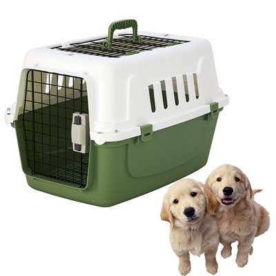 Plasthundur harðhliða 2 hurðir loftræstar ferðakassa